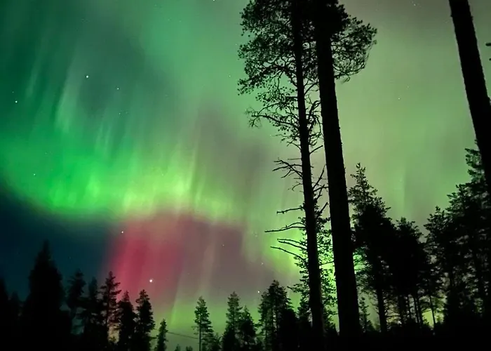 Domek alpejski Kuiske